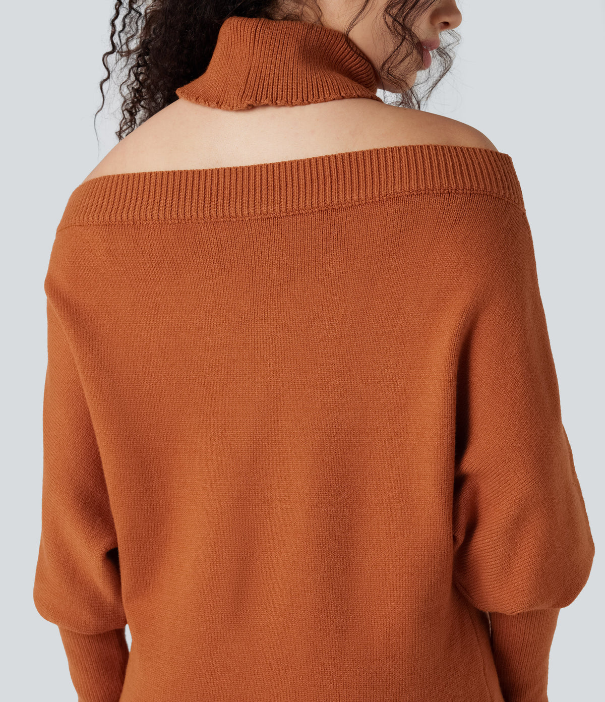 Off Shoulder High-neck Batwing Long Sleeve Casual Jumper — Rust — view 1