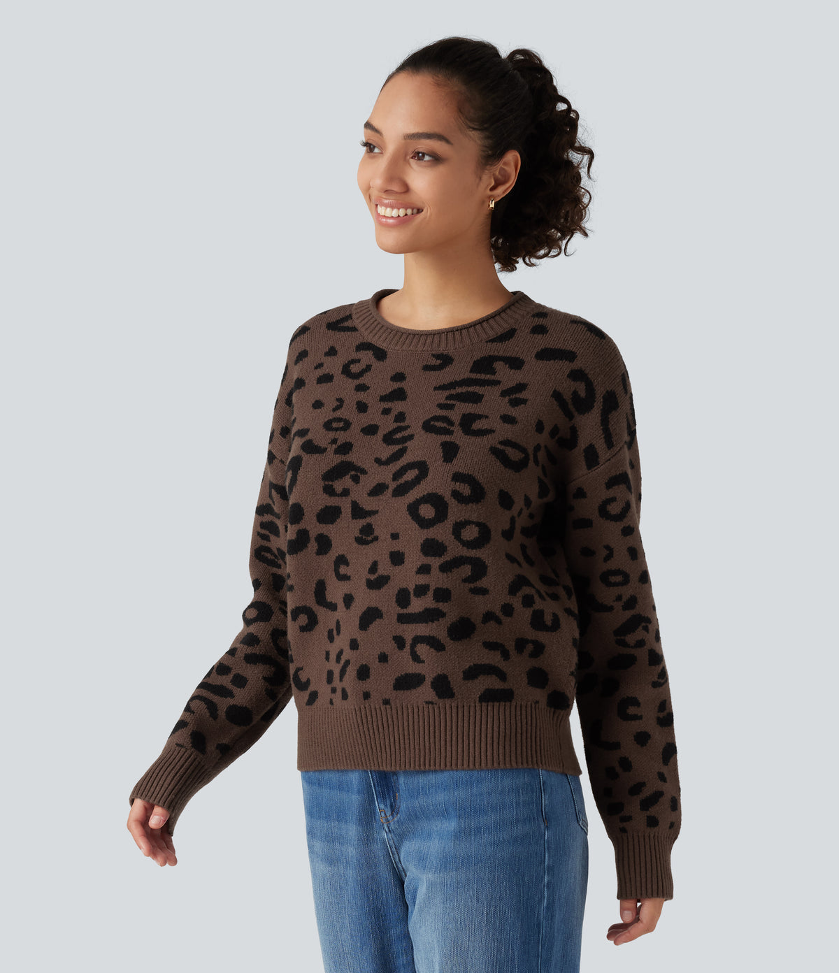 Round Neck Leopard Print Long Sleeve Casual Jumper — Acorn Wild Leopard — view 3