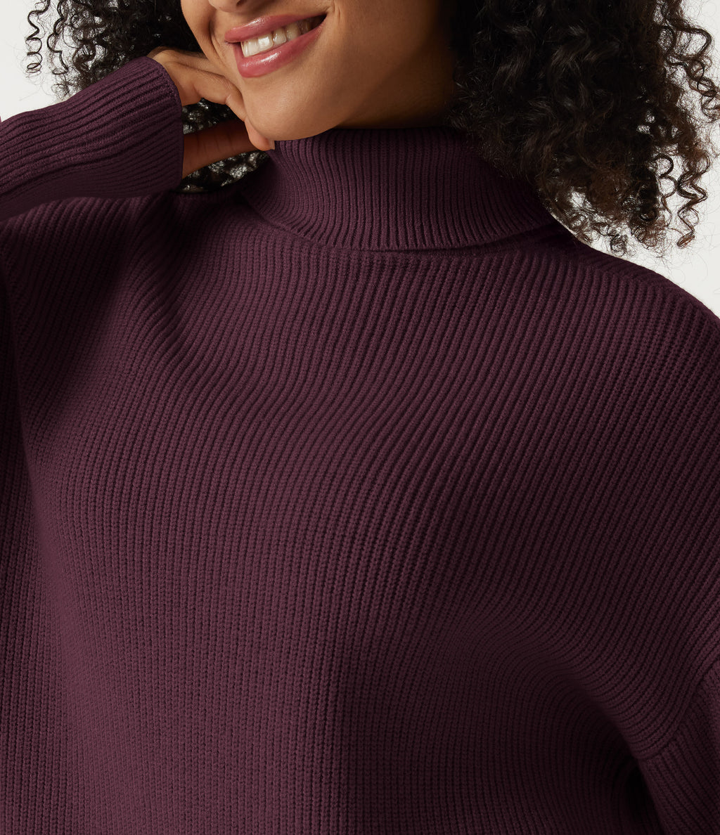 High Neck Long Sleeve Casual Mini Sweater Dress — Mauve Wine — view 4