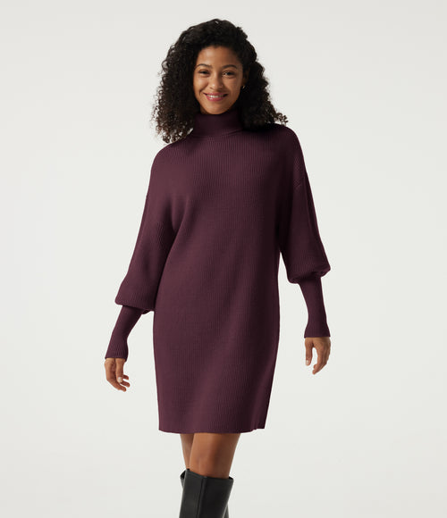 High Neck Long Sleeve Casual Mini Sweater Dress — Mauve Wine — view 1