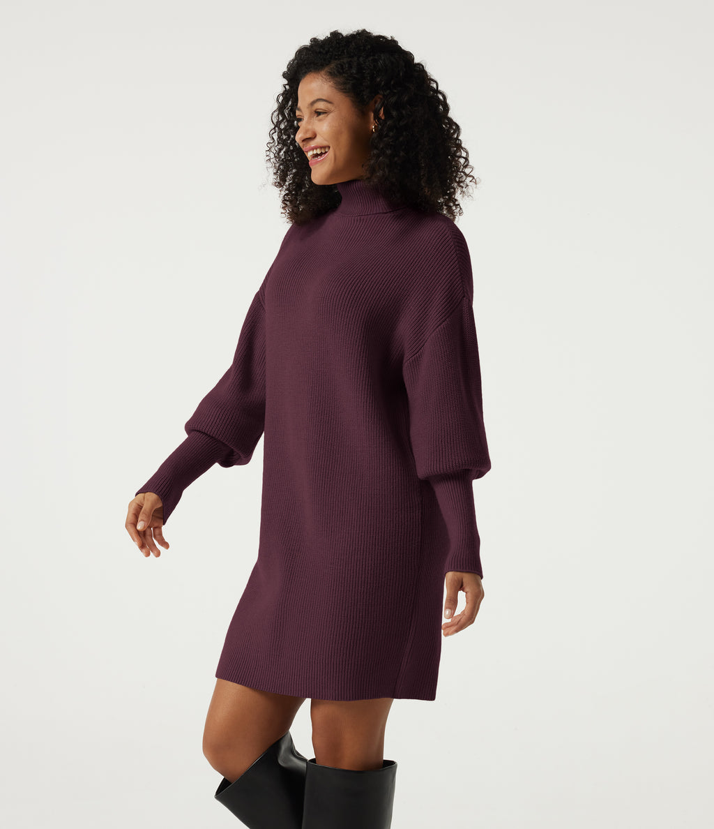 High Neck Long Sleeve Casual Mini Sweater Dress — Mauve Wine — view 3