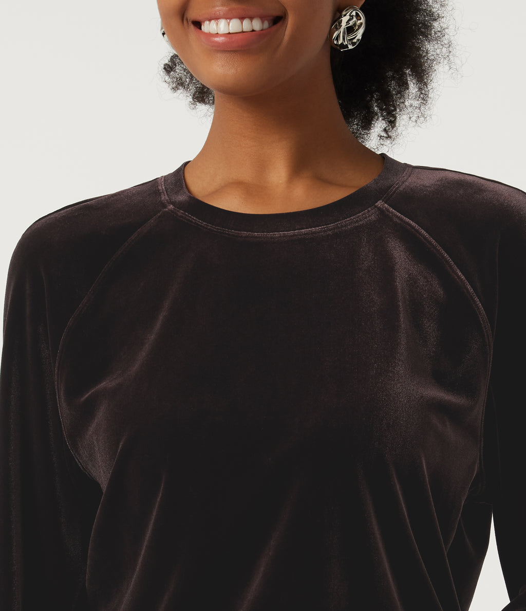 Round Neck Long Sleeve Velvet Casual Sweatshirt — Charcoal Brown — view 5