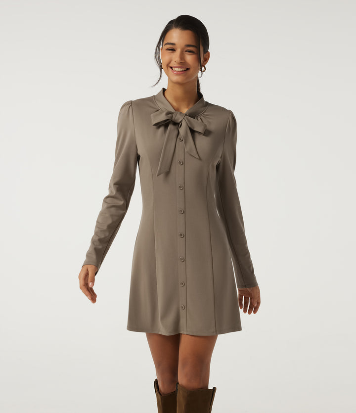 Mock Neck Long Sleeve Tie Front Mini Work Dress — Birch Brown — view 1